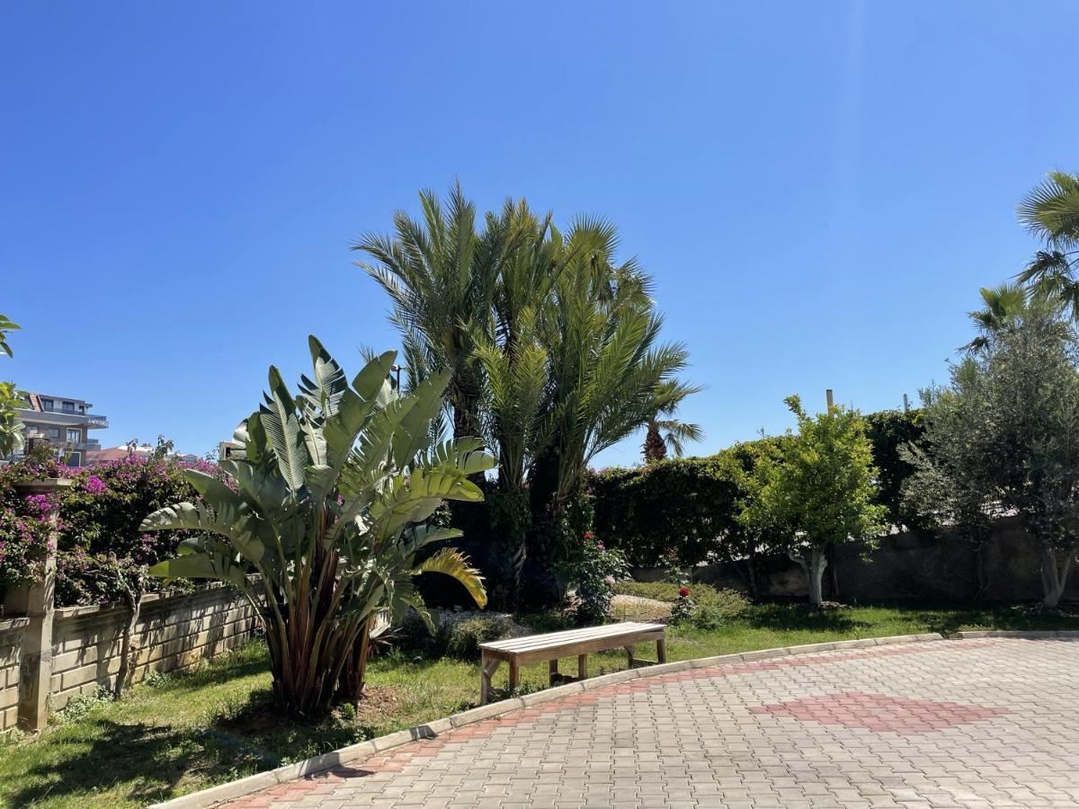 Sa Apartments! 300M To The Beach Alanya Exteriör bild